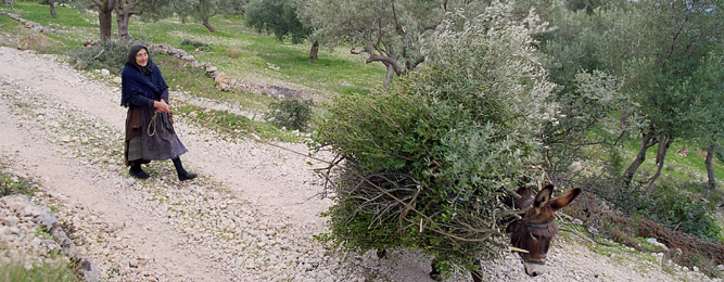 Traffic on hiking trails