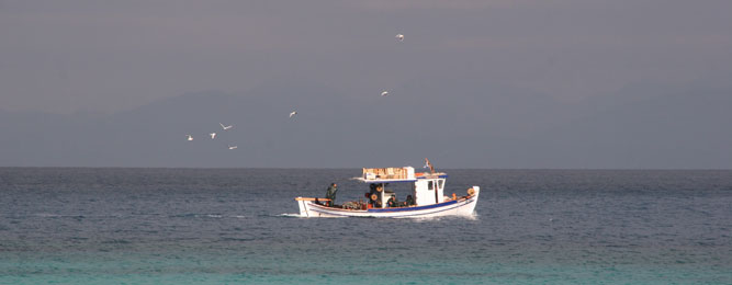 La pêche en mer